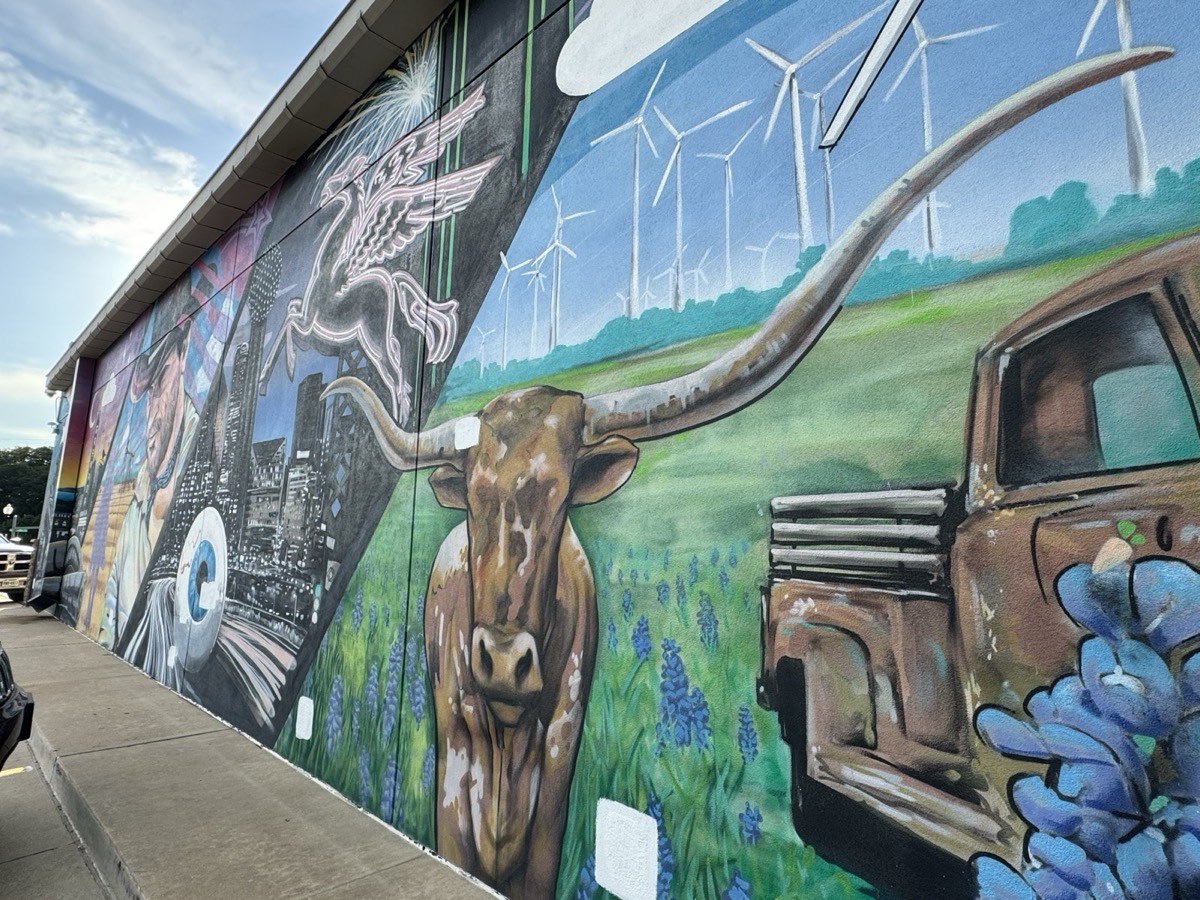 Longhorn and bluebonnet mural in Lowest Greenville